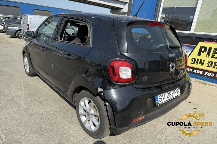 Usa Portiera spate stanga (defecte de la grindina) Smart Forfour 2 [2