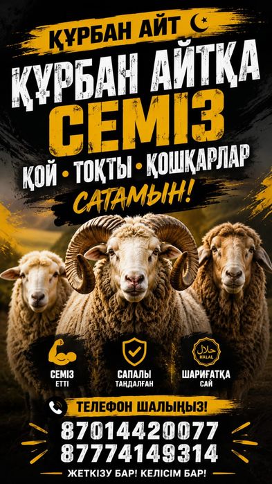 Кой токты сектер сатылады
