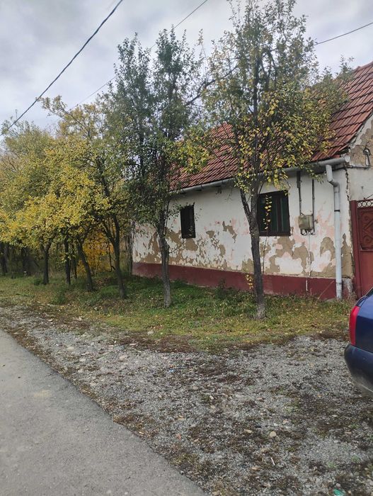 De vânzare casa in județul Arad sat Rapsig