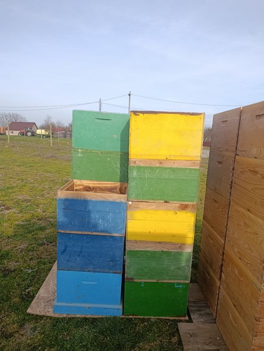 Caturi și cutii apicole