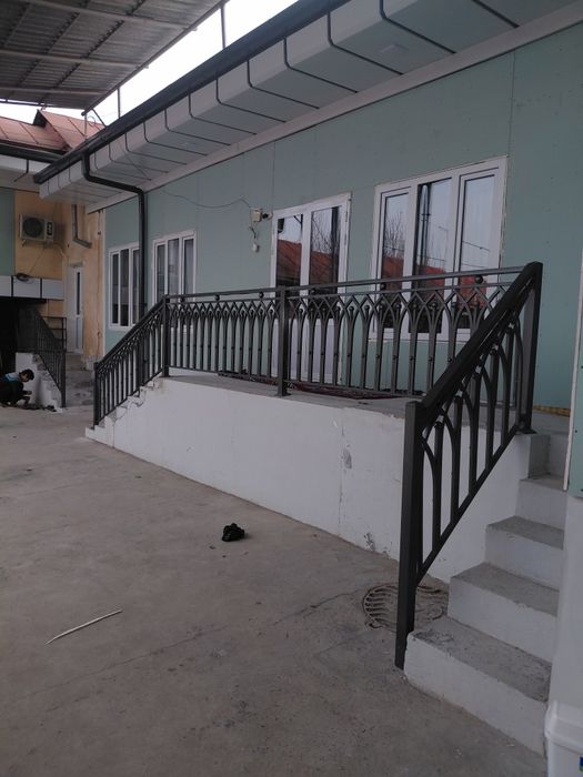 Rishotka perilla
