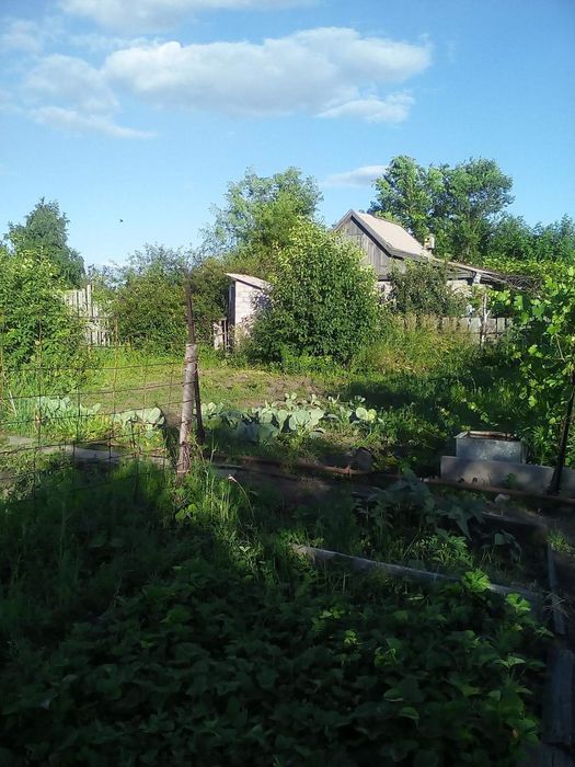 Дачное строение.