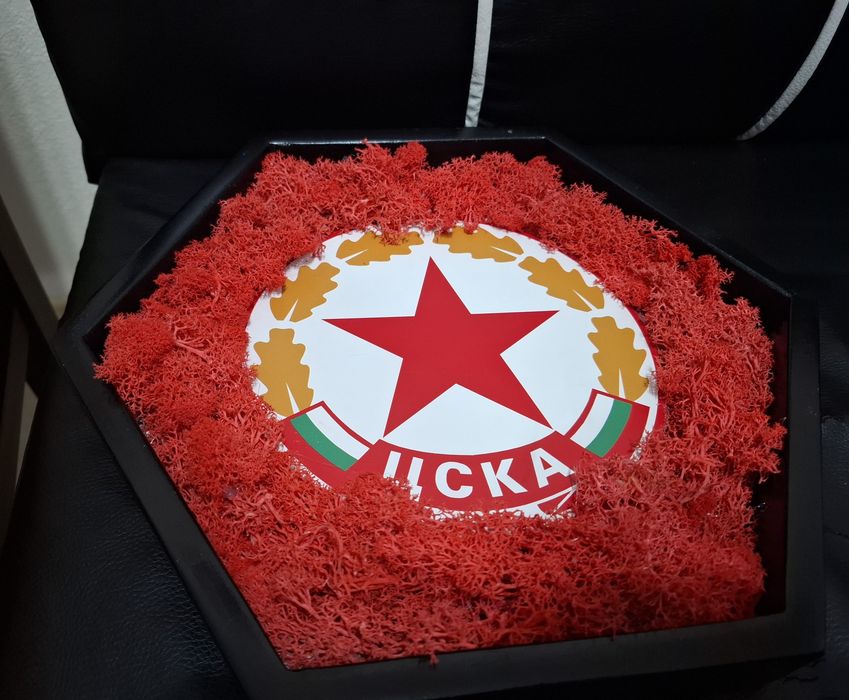 За фенове на ЦСКА! Ръчно изработена 3D рамка със скандинавски