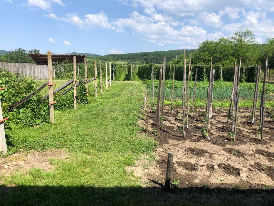 proprietate de vinzare