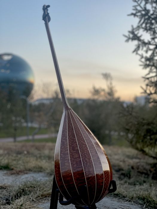 В продаже профессиональные домбры оптом и в розницу