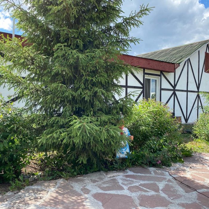 Продам зону отдыха боровое