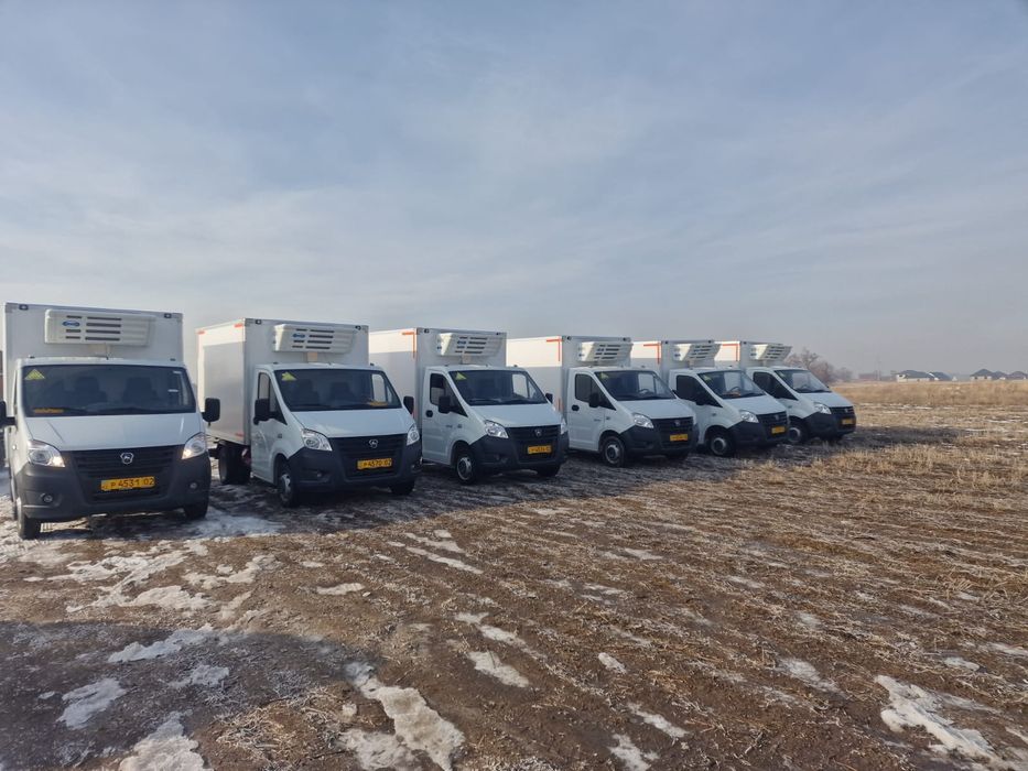 Рефрижератор ГАЗЕЛЬ