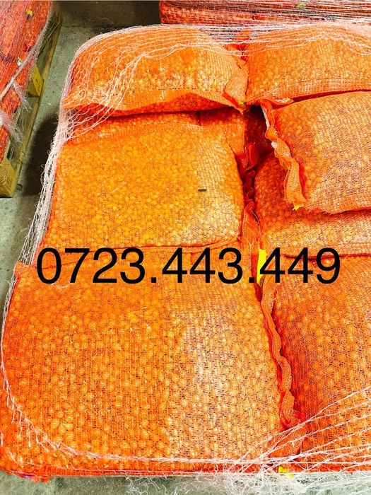 Vand arpagic import olanda