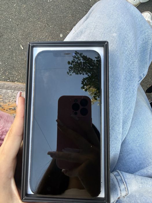 iPhone 12 pro max
