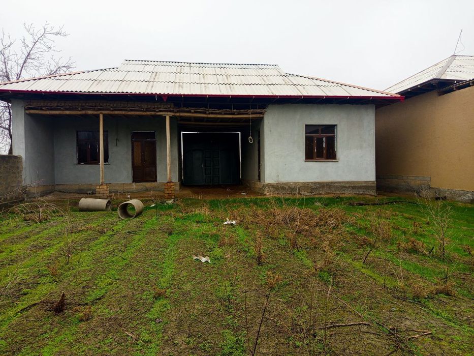 JOMBOY TUMAN  Qora moyi mahalasi