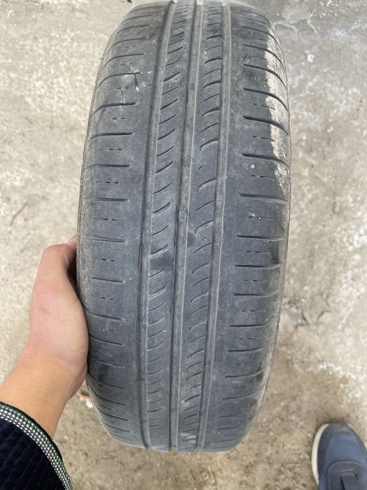 4 ta balon 20 000 yurgan hali tishlari yangiday turbdi