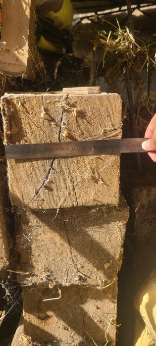 Болол Брусель расиски 6 метр