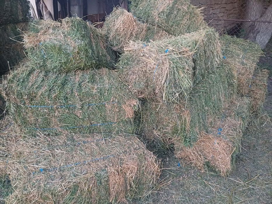 Продавам бали люцерна