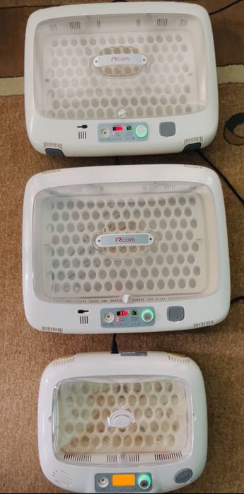 Inkubator va Bludur Original