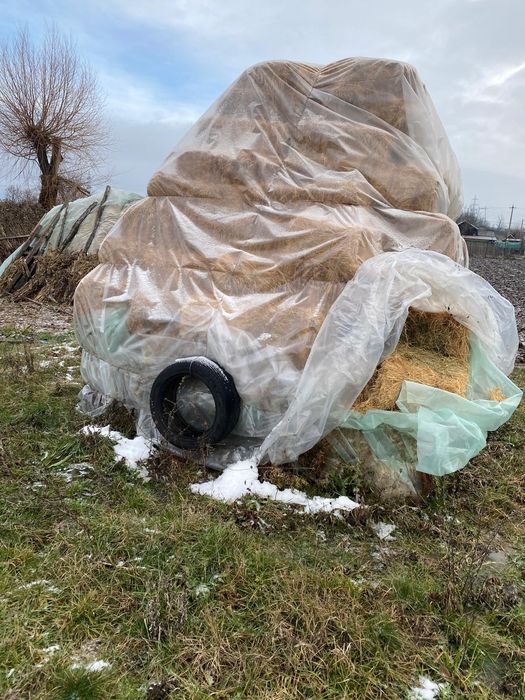 Vand Baloti de fan 18 bucata