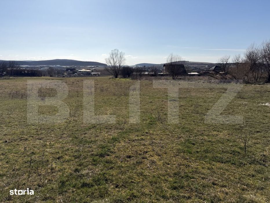 Teren intravilan in localitatea Hereclean in suprafata de 5800 mp