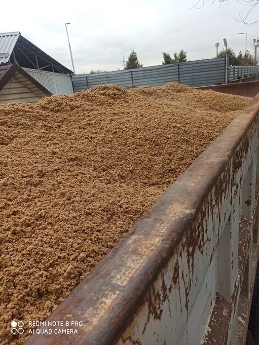 Пивная дробина (Барда)