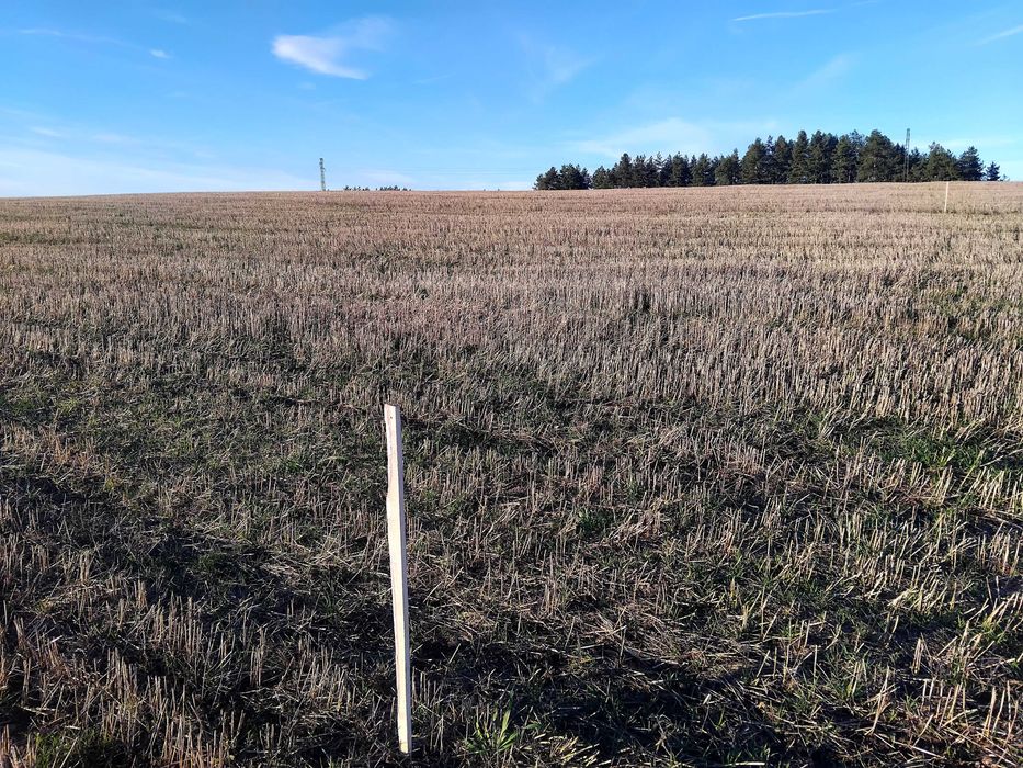 Продава се Земеделски имот в Батановци -  кв.м за 4 €/дка - Снимка #10