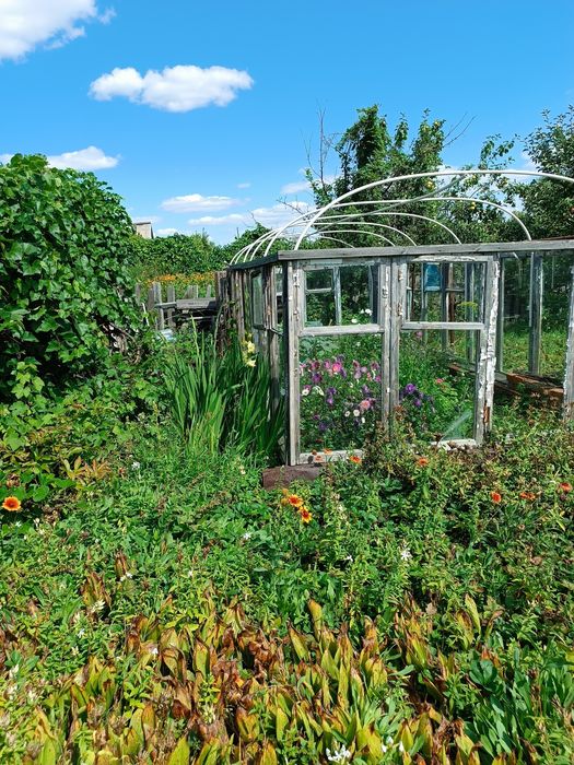 Продам дачу 3 общество