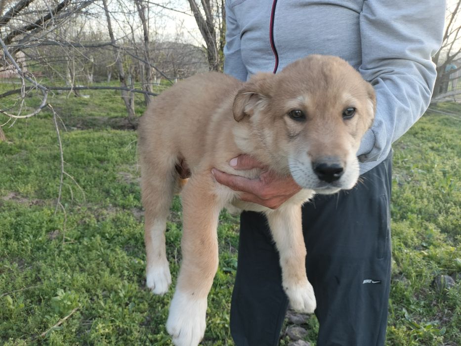 екуі сатылады сауда бар