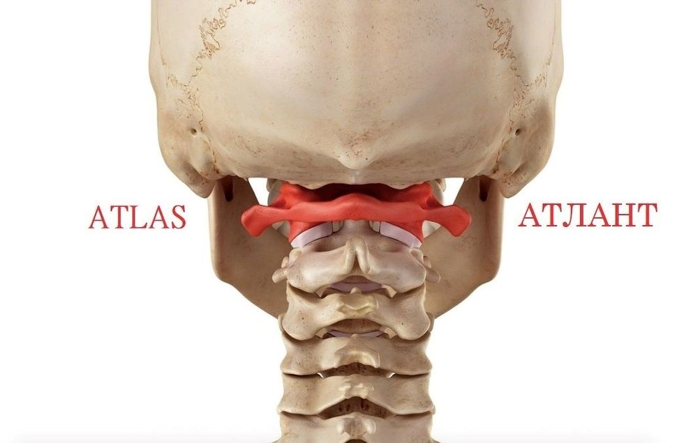 Массаж миофасциальный