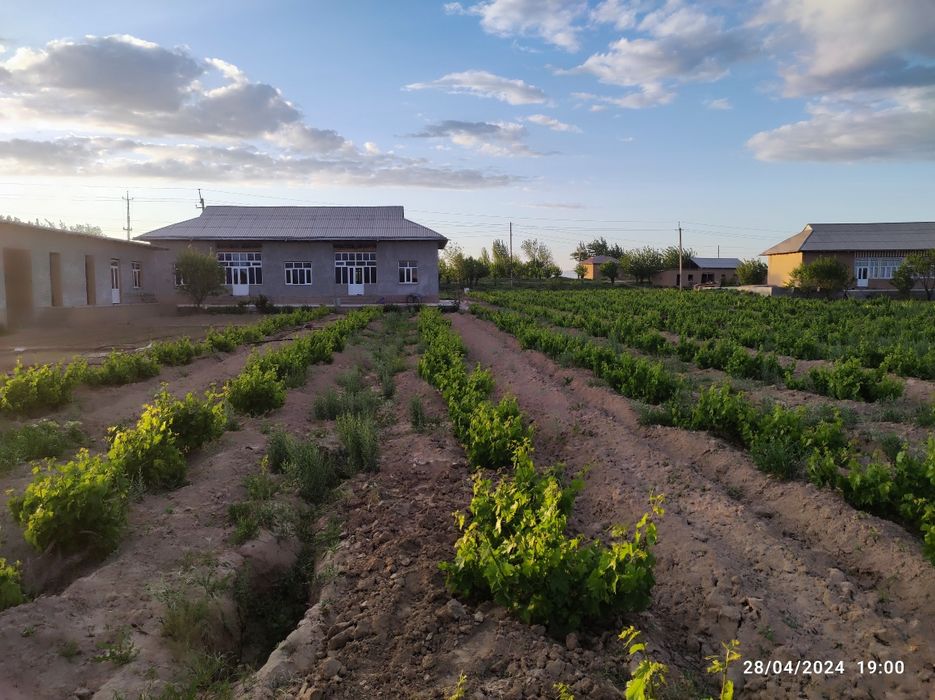 Uy joy sotiladi, 50 sotix