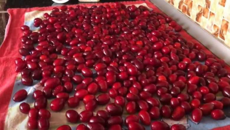 Экологический чистый Кизил со своего сада.