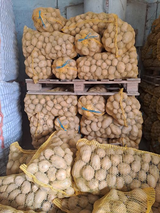 Картофи за консумация и семена