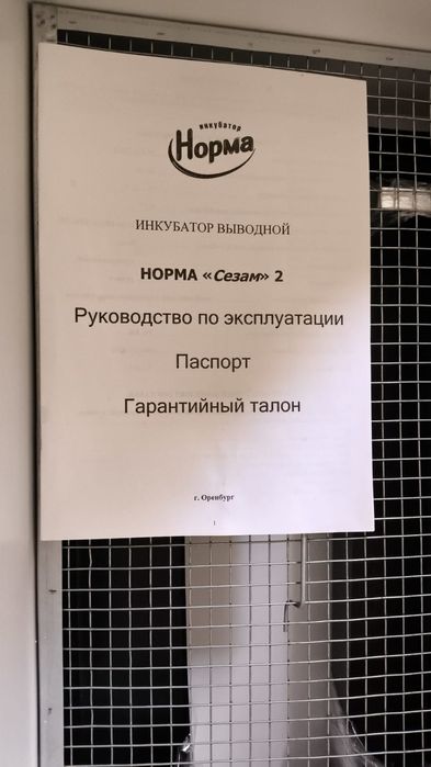 Инкубатор Норма Сезам