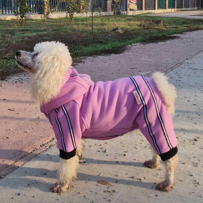 Одежда для животных от TURKAN.