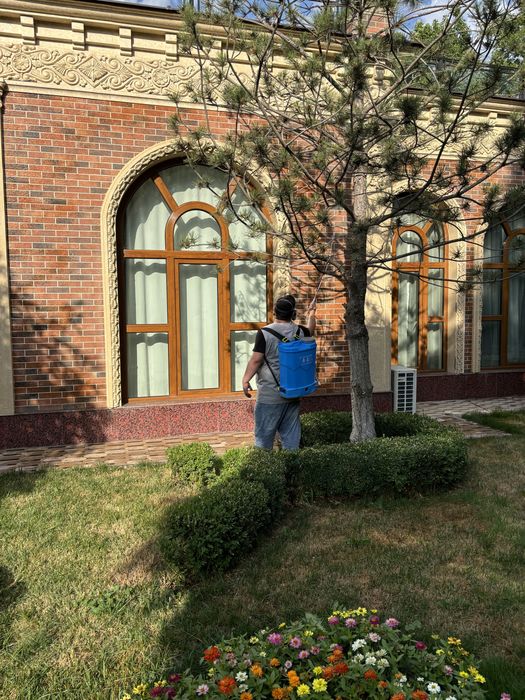 dezinfeksiya dizinfeksiya 24/7 klapa tarakan дезинфекция дизинфекция к