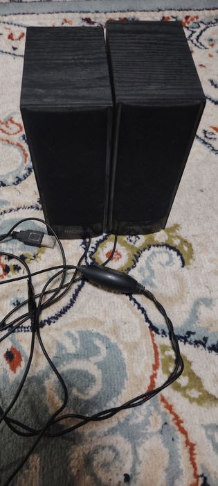 Kalonka va pilisoscha