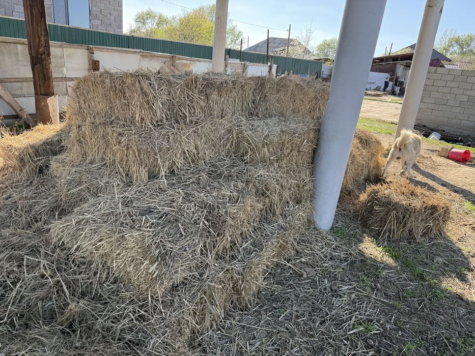 Сено для крупно рогатого скота
