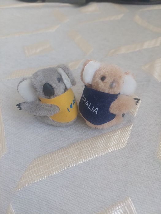 Отдам бесплатно.