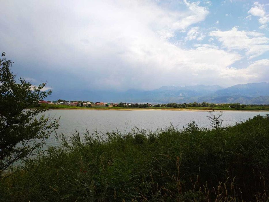 Продам дачу 19км по Раимбека