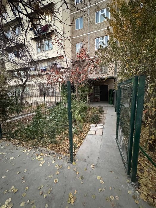 Algoritm Bisyorda 3 xonali 1- etaj kvartira sotiladi