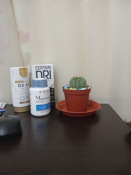 3lasidanam bor nalichi