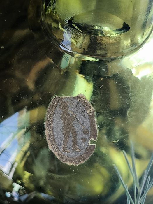 Гарафа Rückl & Brothers Bohemia