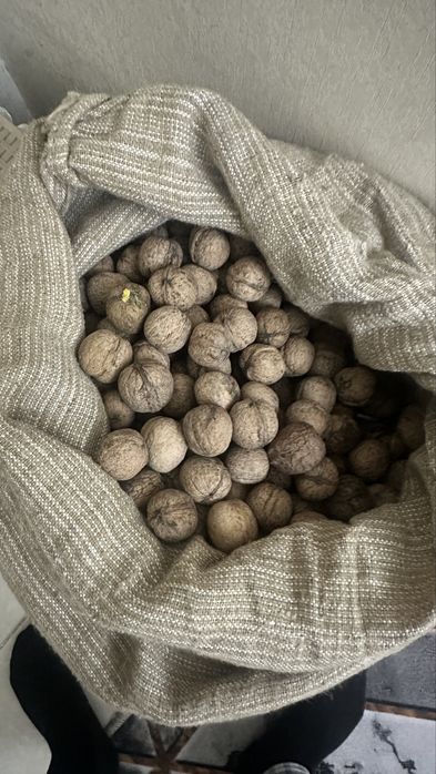 Орехи грецкие. Хорошие.