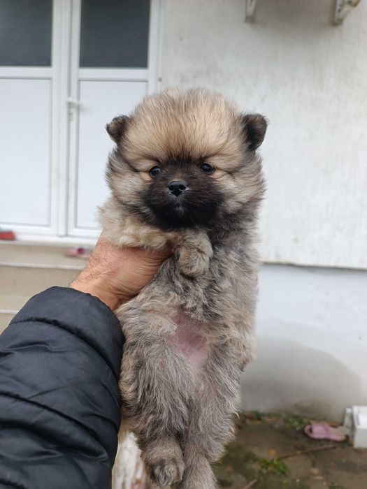 От Стара Загора сме