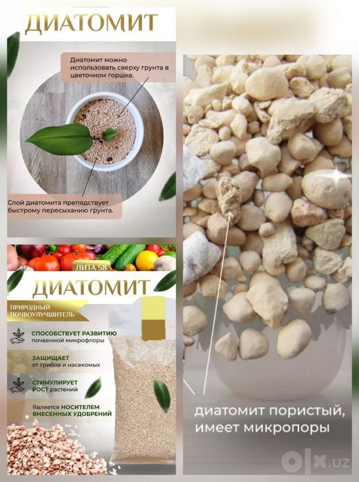 Диатомит для растений