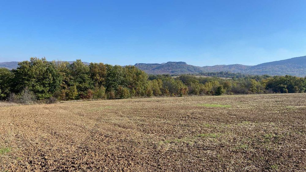 Продава се Земеделски имот в Дългопол -  кв.м за 1168 €/дка - Снимка #4