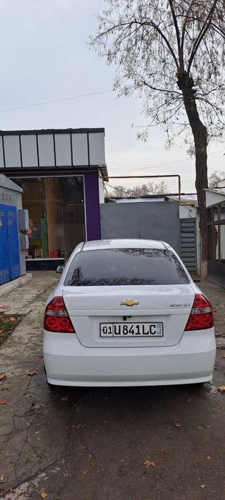 Sotiladi Nexia 3, 2019 yilgi, 3 o’rin