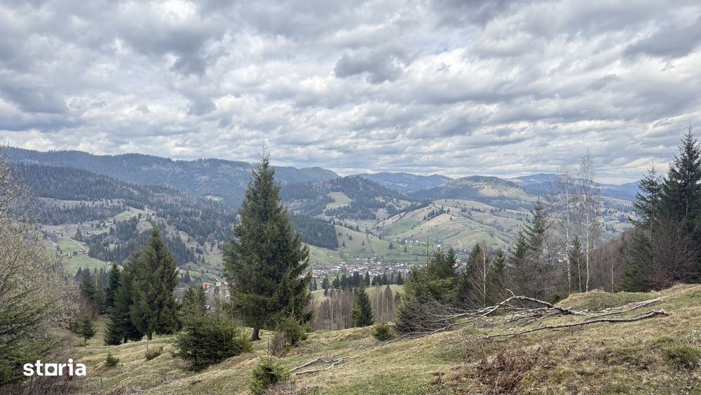 Teren izolat fără vecini, inconjurat de pădure, 1.02 ha