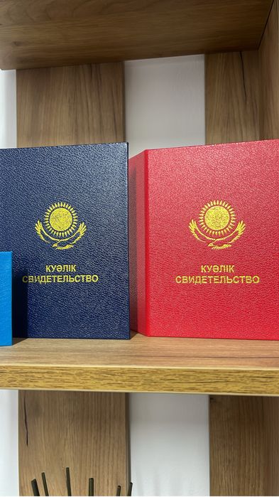 Обучение по птм, промбез, электро, биот