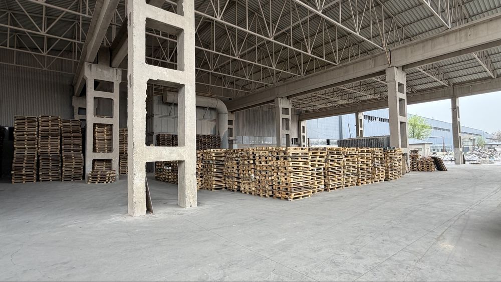 120/80 paddon rassiski yevro