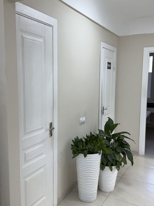 Кушетка в аренду в салоне красоты