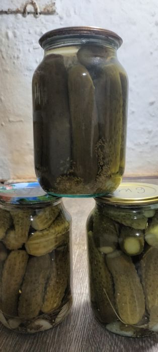 Домашние заготовки огурцов и томатов.