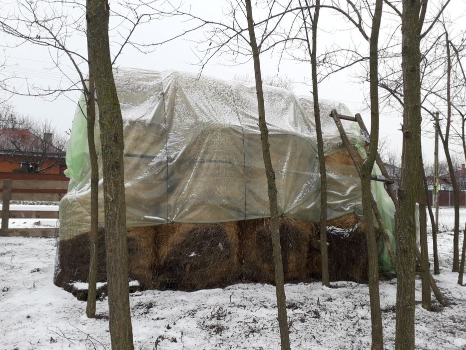 Vand baloti rotunji de fan sau la schimb cu o vitica