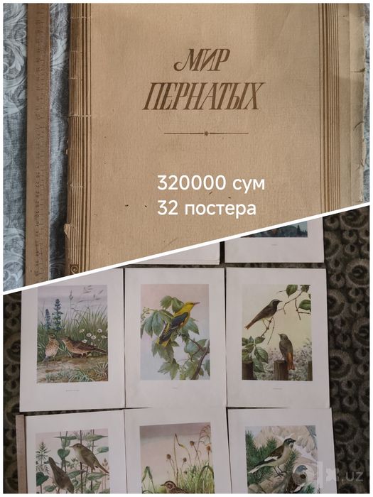 Репродукции коллекционирование